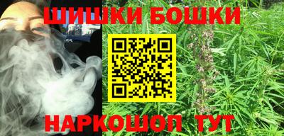 крисы Бийск